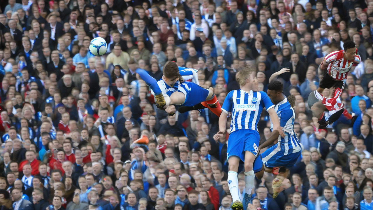 Brighton beats Sunderland 1-0